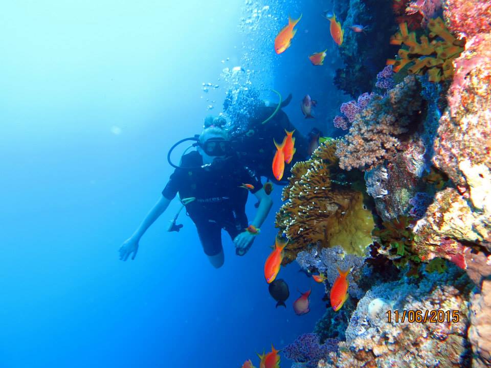 PADI OPEN WATER DIVER - دورة الغوص من خليج سوما أو سفاجا